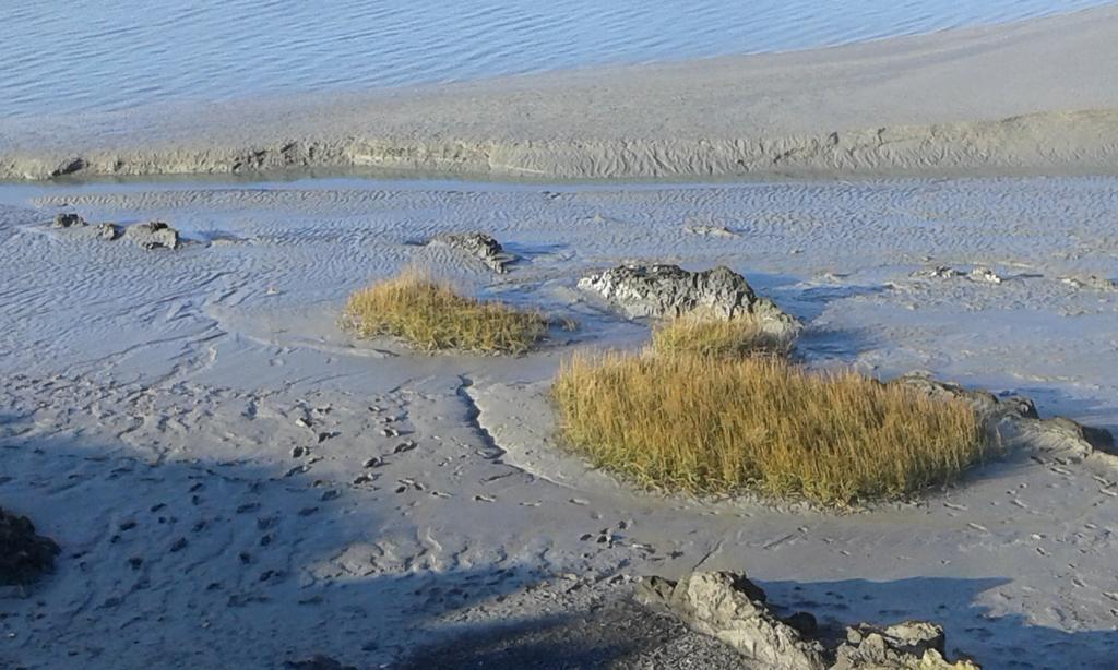 فيلا Les Hirondelles De La Baie Vains المظهر الخارجي الصورة